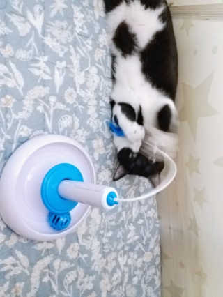 냠냠잉님이 올린 리뷰 사진 3
