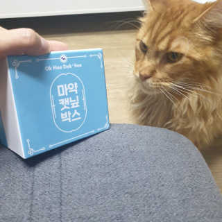 요정요정님이 올린 리뷰 사진 1