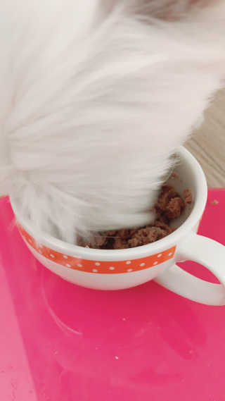 늘잉님이 올린 리뷰 사진 2
