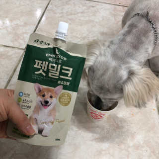 [빙그레] 에버그로 생유산균 1봉（10포입）+펫밀크2팩 — 5점을 준 리뷰어가 2019년 5월 올린 사용 사진
