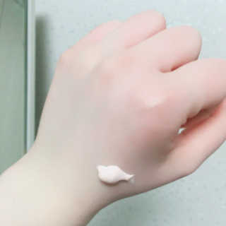 송블리팡팡님이 올린 리뷰 사진 4