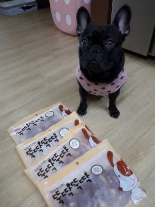 [펫토리아] 뚝딱뚝딱 400g 강아지 간식 베스트5종 — 4점을 준 리뷰어가 2019년 1월 올린 사용 사진