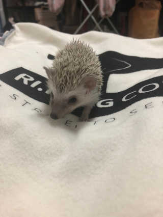 몽숭꾸님이 올린 리뷰 사진 4