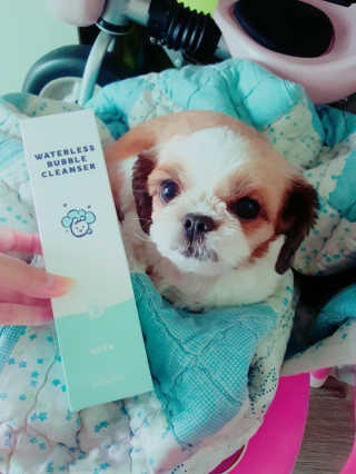 hsj님이 올린 리뷰 사진 2