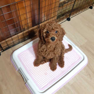 seni님이 올린 리뷰 사진 4