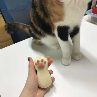 예콩님이 올린 리뷰 사진 4