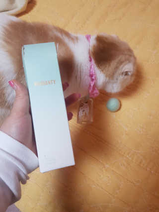 소피마르소님이 올린 리뷰 사진 3