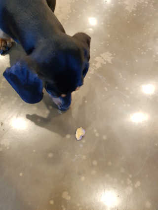 곰팅이호야님이 올린 리뷰 사진 3