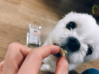 펫츠플레이트 동결건조간식 기호성 테스트 8종 — 5점을 준 리뷰어가 2018년 5월 올린 사용 사진