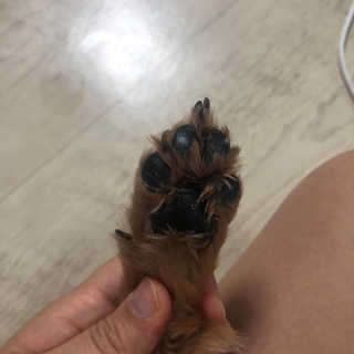 밤비님이 올린 리뷰 사진 4