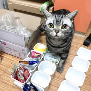 루시루시루시님이 올린 리뷰 사진 1