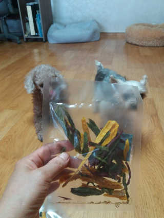 쪼꼬사랑이언니님이 올린 리뷰 사진 3