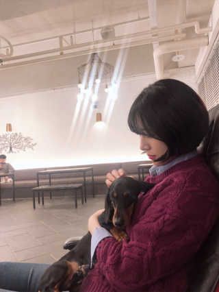 불독키우는개엄마❤️님이 올린 리뷰 사진 3