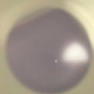 kwon님이 올린 리뷰 사진 2