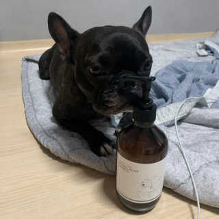 윤영님이 올린 리뷰 사진 4