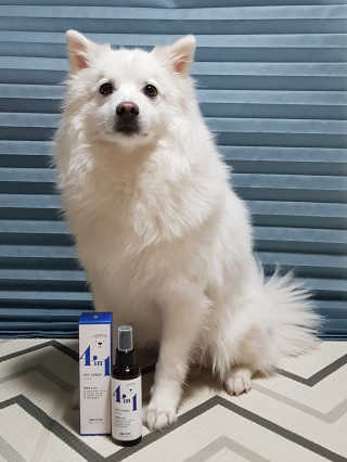 강아지스토리 포인원 모이스처 미스트 100ml — 5점을 준 리뷰어가 2018년 11월 올린 사용 사진