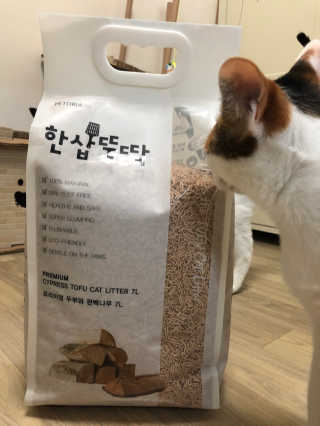 [펫토리아]한삽뚝딱 프리미엄 고양이 두부모래 — 5점을 준 리뷰어가 2019년 8월 올린 사용 사진