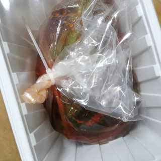 파랑새님이 올린 리뷰 사진 2