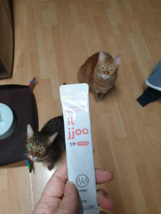 김진영님이 올린 리뷰 사진 2