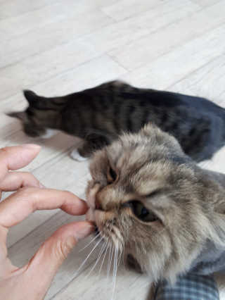 훌륭한여자님이 올린 리뷰 사진 1