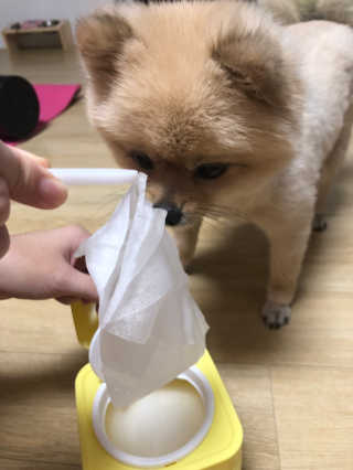 berryjjung님이 올린 리뷰 사진 3