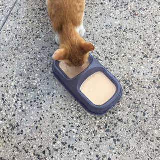단발소녀님이 올린 리뷰 사진 4