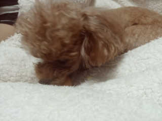 MijeongKim님이 올린 리뷰 사진 4