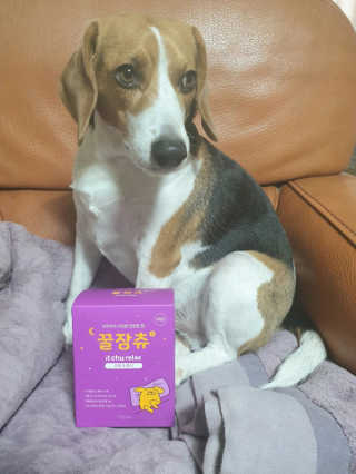 beaglelove님이 올린 리뷰 사진 1