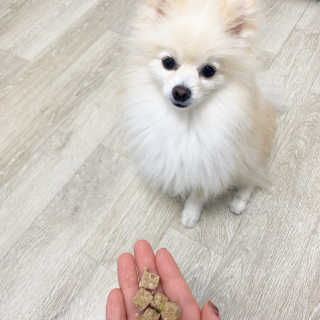 캐롯님이 올린 리뷰 사진 4