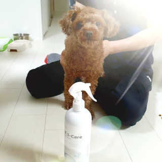 [펫토리아] 뚝딱케어 강아지 고양이 다목적세정제 — 5점을 준 리뷰어가 2020년 2월 올린 사용 사진