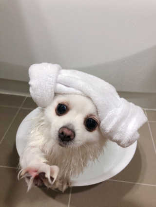핸진님이 올린 리뷰 사진 1