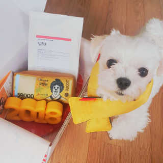 쪄닝님이 올린 리뷰 사진 3