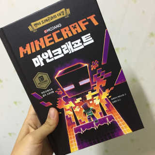 제제의숲 마인크래프트 엔더 드래곤과의 대결 — 4.5점을 준 리뷰어가 2018년 7월 올린 사용 사진