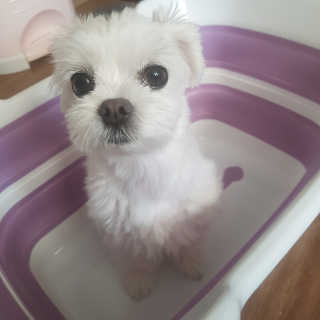 뽀오오옹님이 올린 리뷰 사진 1