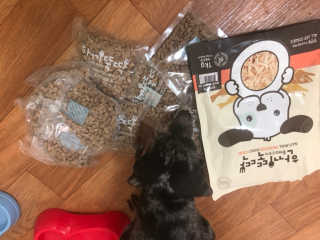 [펫토리아] 맛도 영양도 BEST 한끼뚝딱 강아지 사료 — 5점을 준 리뷰어가 2019년 4월 올린 사용 사진