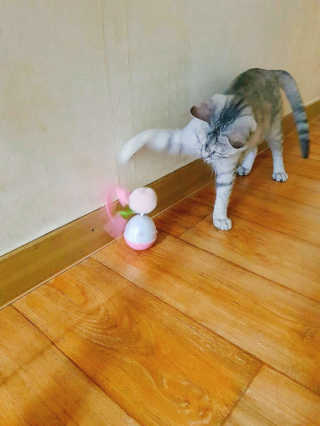 으콩님이 올린 리뷰 사진 1