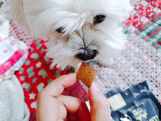 beanmom님이 올린 리뷰 사진 3