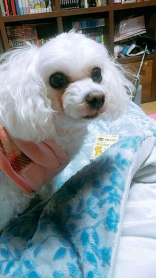 모모님이 올린 리뷰 사진 4