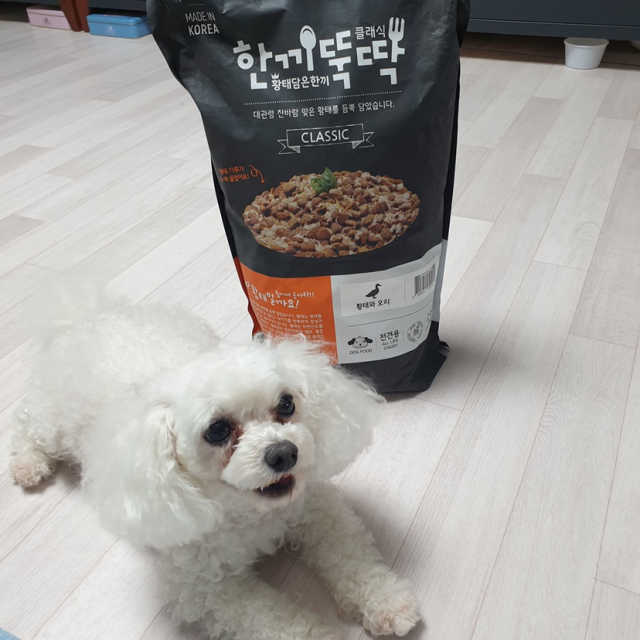 펫토리아 한끼뚝딱 클래식 강아지 건식사료 리뷰 사진