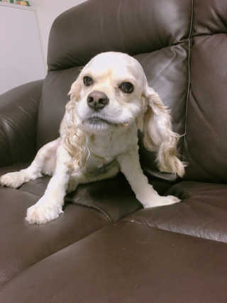 뽀니님이 올린 리뷰 사진 3