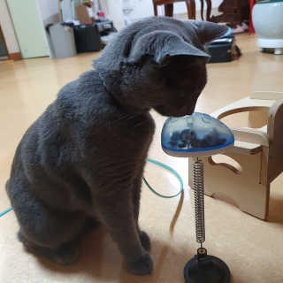 율집사님이 올린 리뷰 사진 3