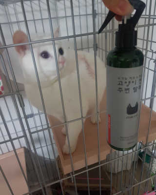 목예담님이 올린 리뷰 사진 3