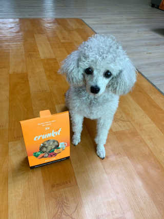 zzzbebemin님이 올린 리뷰 사진 2