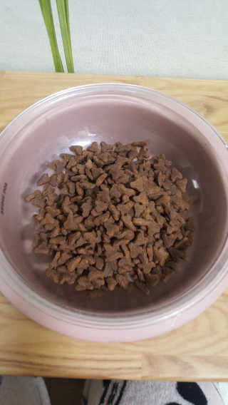 발라당님이 올린 리뷰 사진 2
