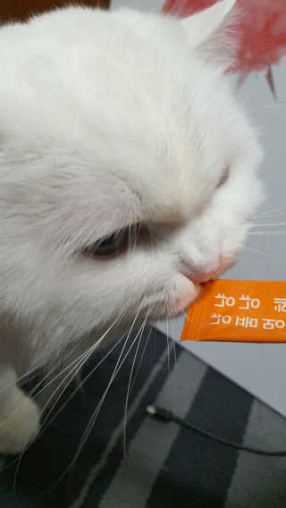 Woo7C님이 올린 리뷰 사진 1