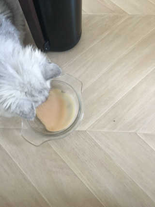단발소녀님이 올린 리뷰 사진 2