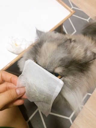 mushroombyjj님이 올린 리뷰 사진 2