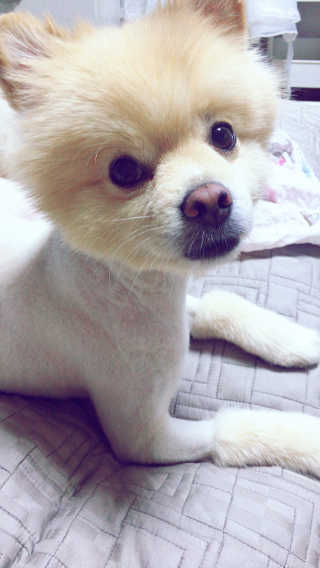 재이류님이 올린 리뷰 사진 2