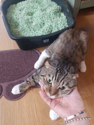 이동훈님이 올린 리뷰 사진 1