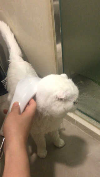 sd0816님이 올린 리뷰 사진 2